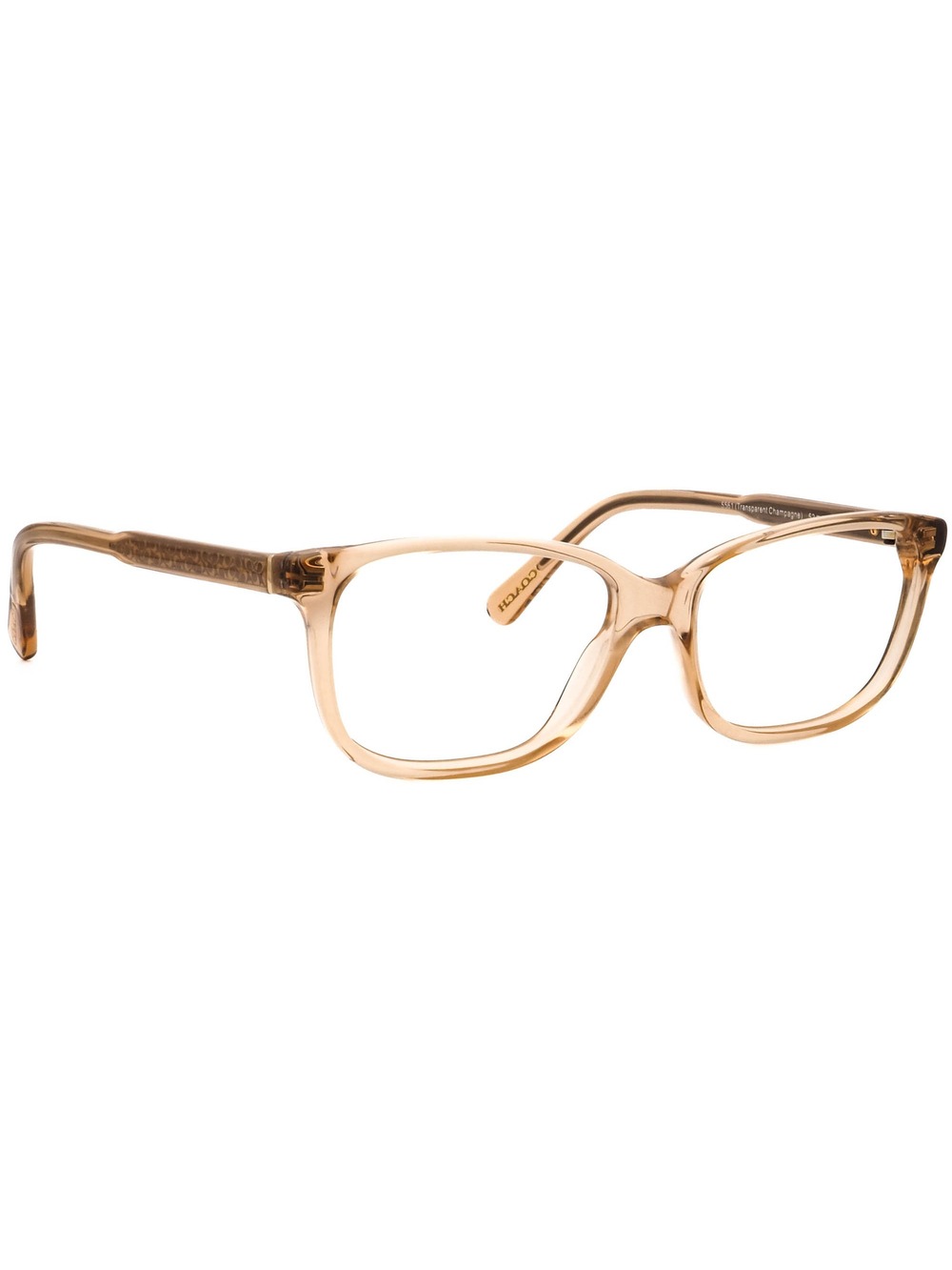 Coach HC 6143 5561 Eyewear